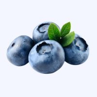 DID YOU KNOW BLUEBERRIES
